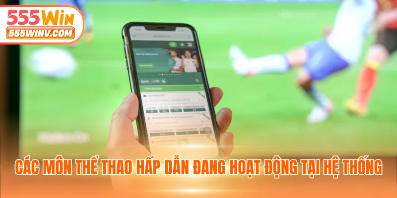 Các môn thể thao hấp dẫn đang hoạt động tại hệ thống